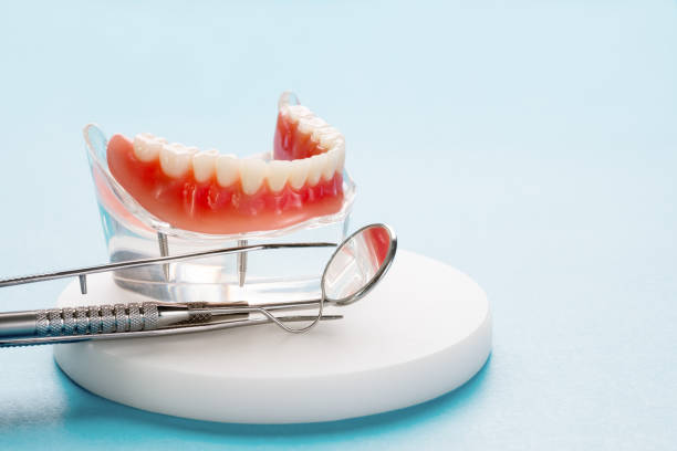  Fairhope, AL Holistic Dental Services Pros